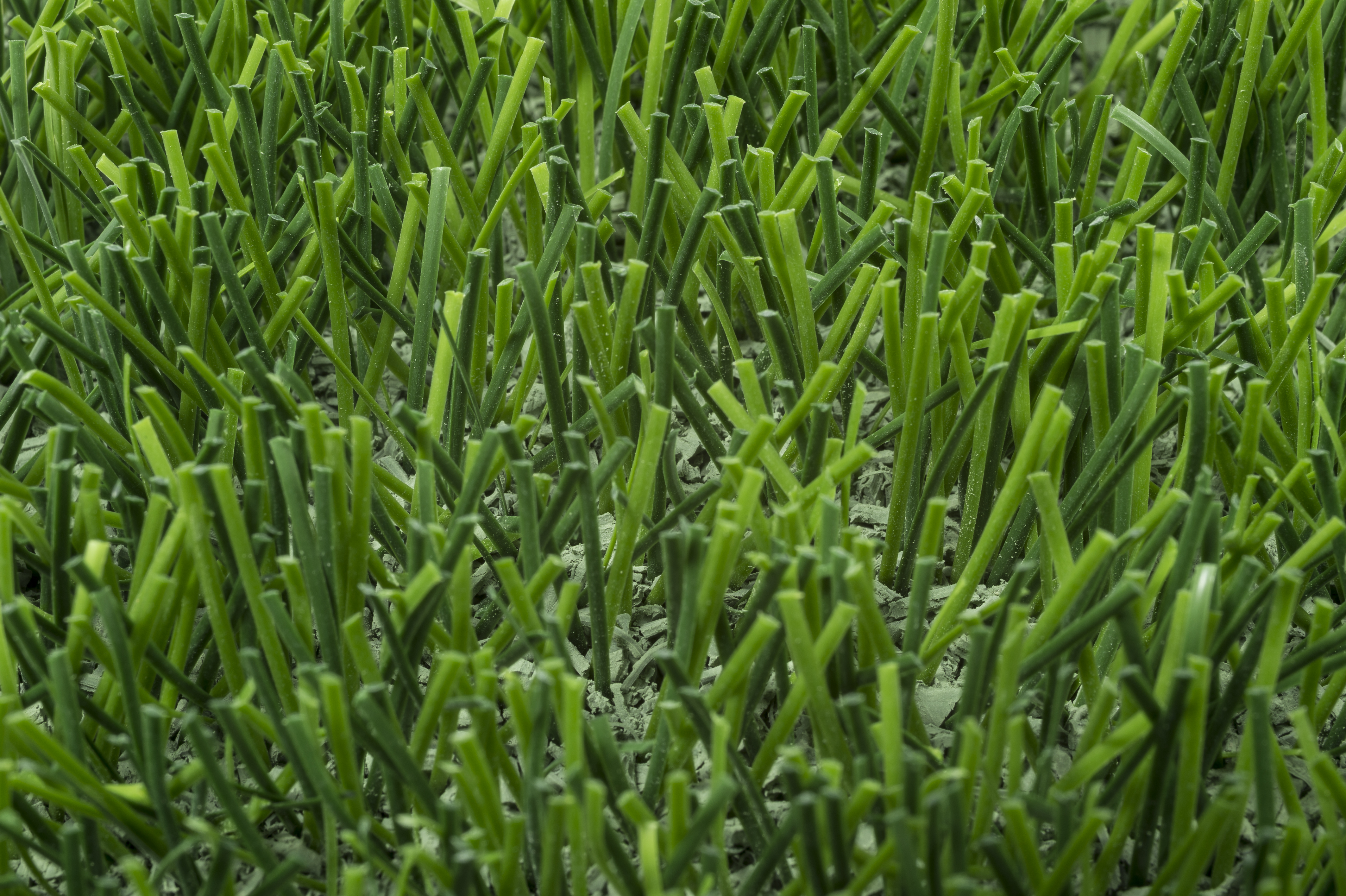 2016-05_LigaTurf_RS+_CP_WCE_240_22_4_lime-fieldgreen_gruen_Granulat_01(1)